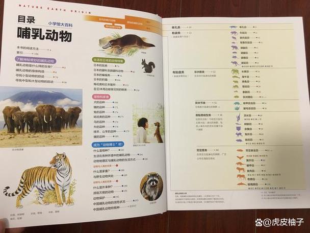 小学馆有哪些作品