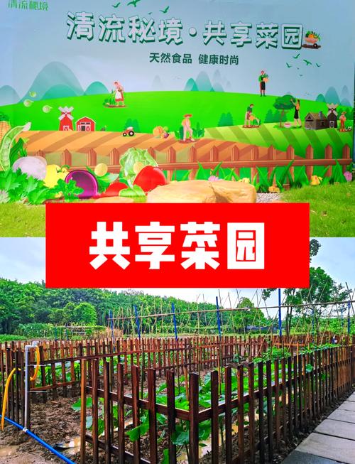 种菜小游戏红包版