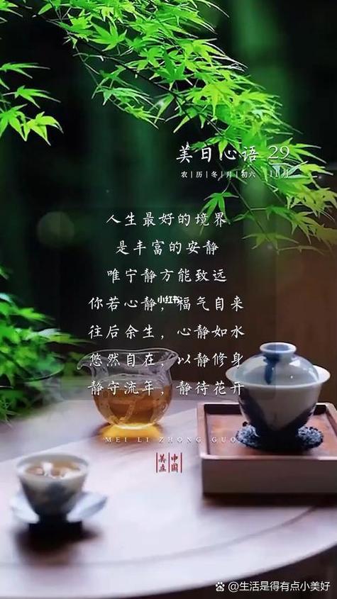 人生感悟100篇缩略图
