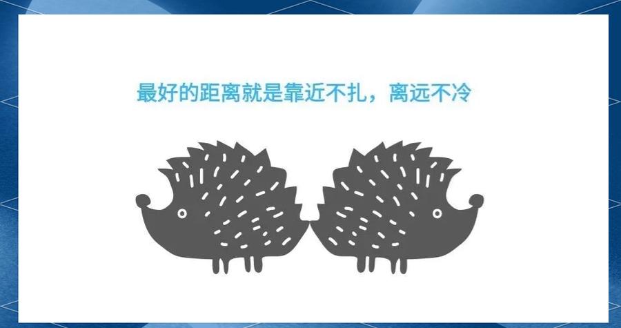 如何让刺猬不再钻东西