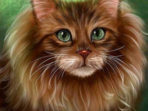 “这是猫,这是什么”猜图