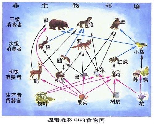 万物包括哪些
