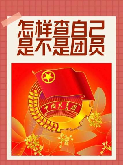 怎么查看自己是不是团员图标