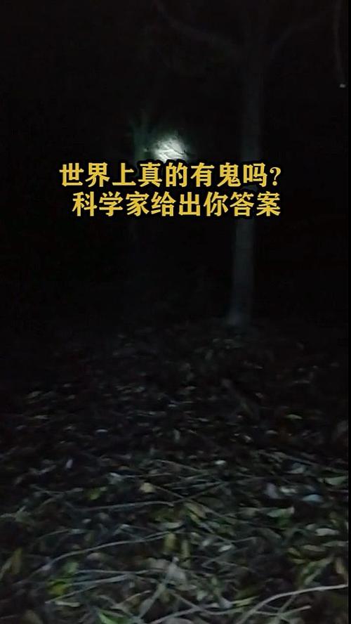 世界上真的有鬼吗?图标