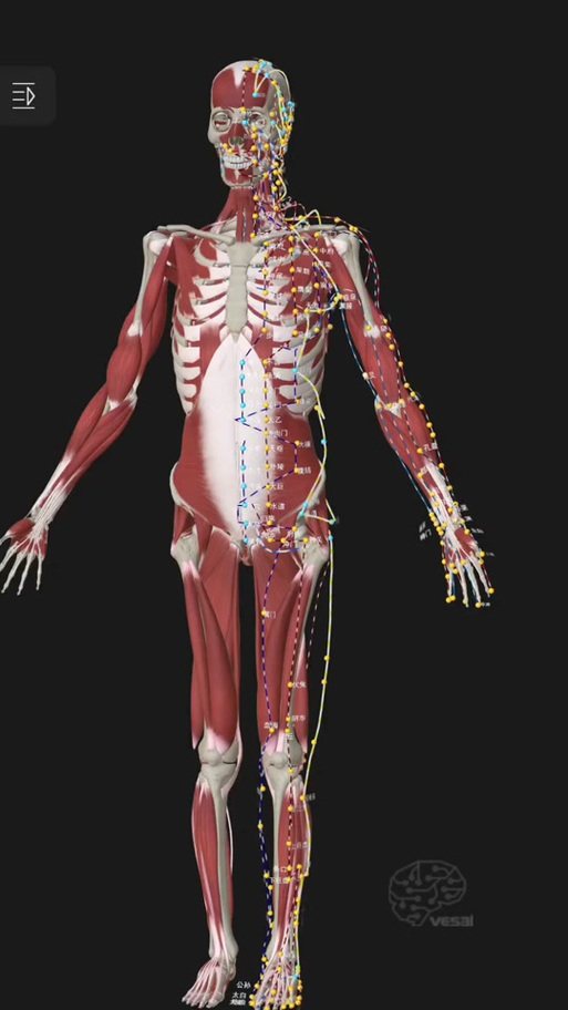 3dbody简化版