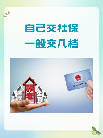自己交社保一般交几档