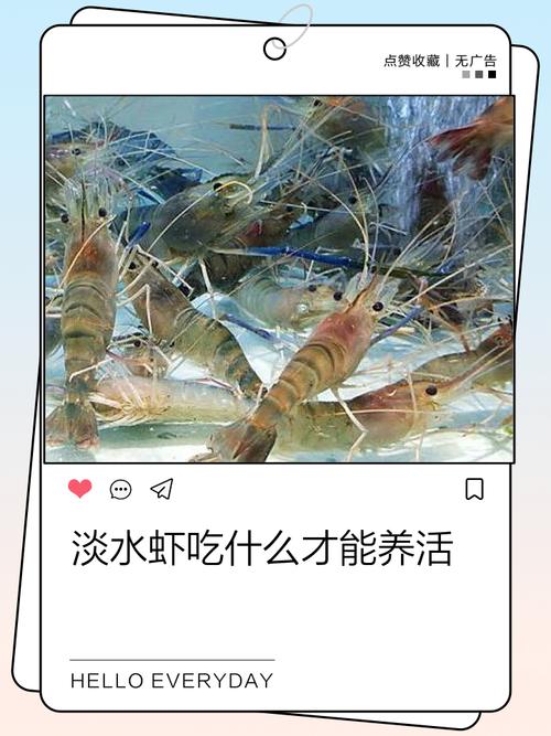 农场世界养虾怎么玩