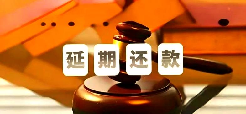 国家延期还款政策2026截图