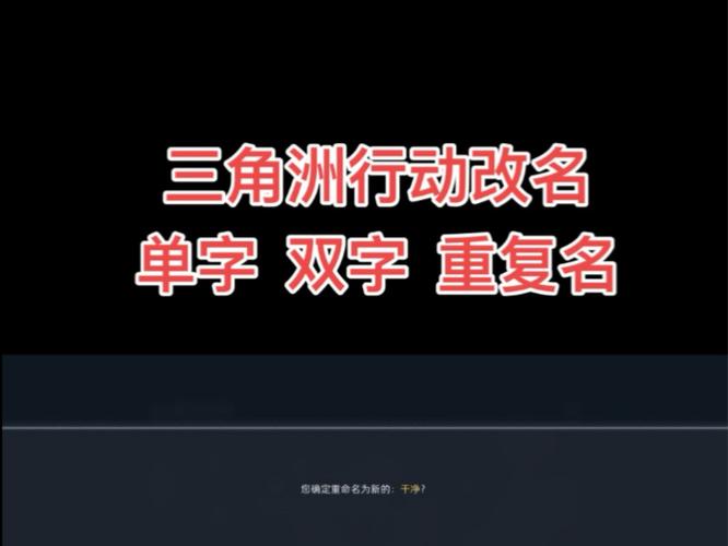 三角洲重复名字生成器截图