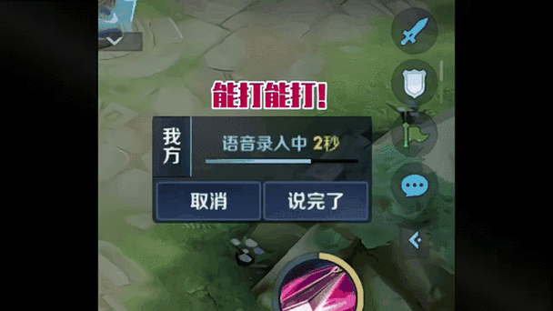 王者语音鉴赏