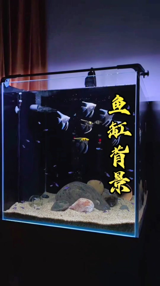 鱼缸三面贴黑有什么用