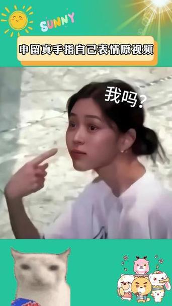 神图表情包