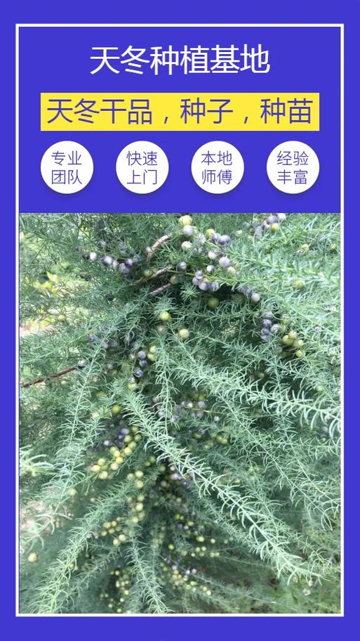 中药材天地网官网价格查询截图