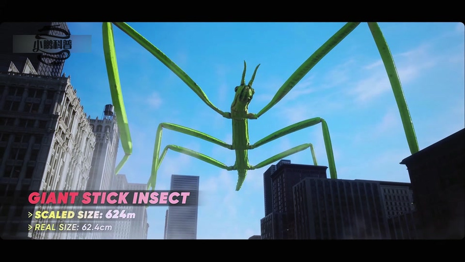 沙螽vS蜈蚣截图