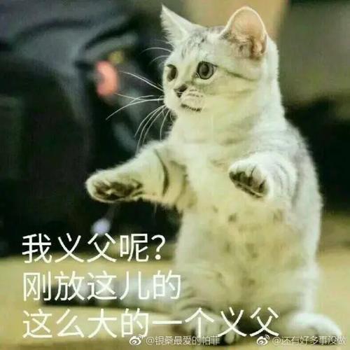 看起来很好嬷什么意思