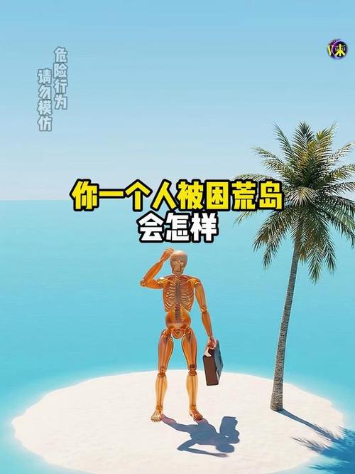 你被困一个孤岛上
