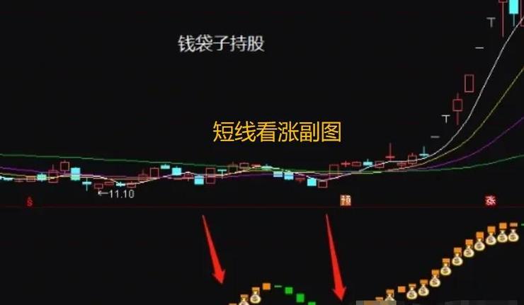 通达信专业版和普通版区别缩略图