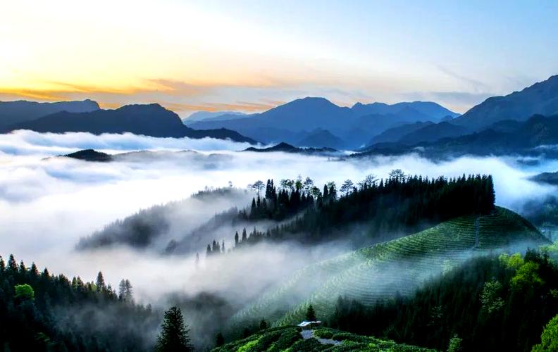 如何拍好雾天风景