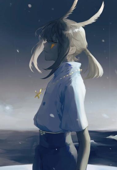 光遇百鸟图