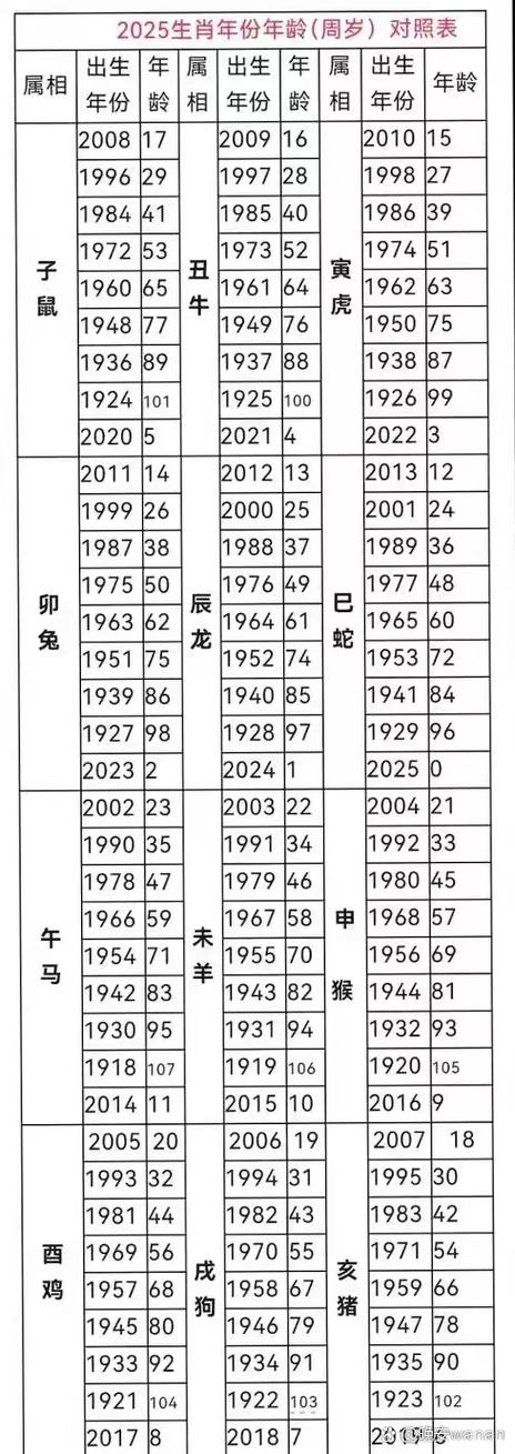 年龄公式=2025-MID截图