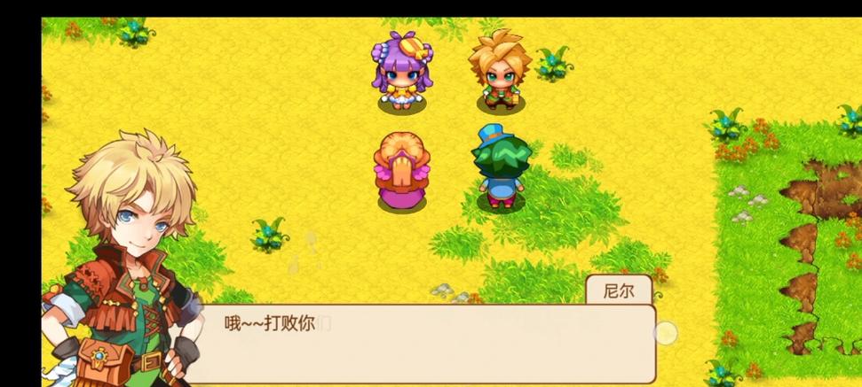 口袋妖怪单机版第75个任务视频