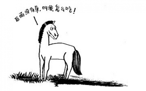 什么生肖不吃回头草截图