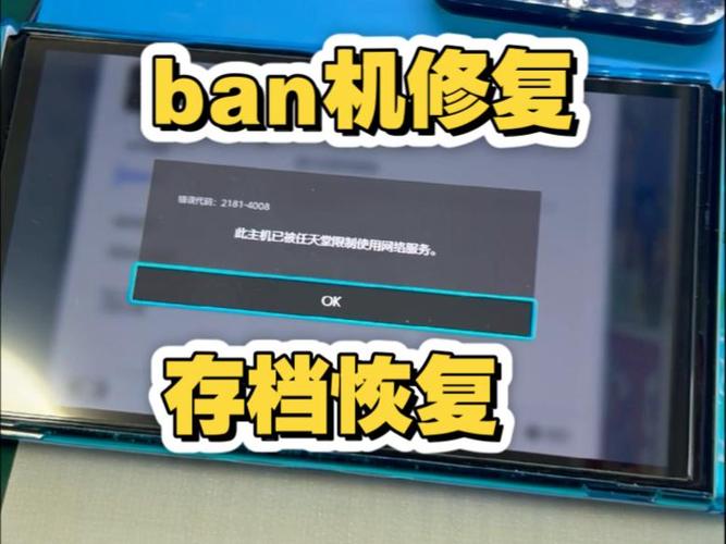 switch检测到存档损坏图标