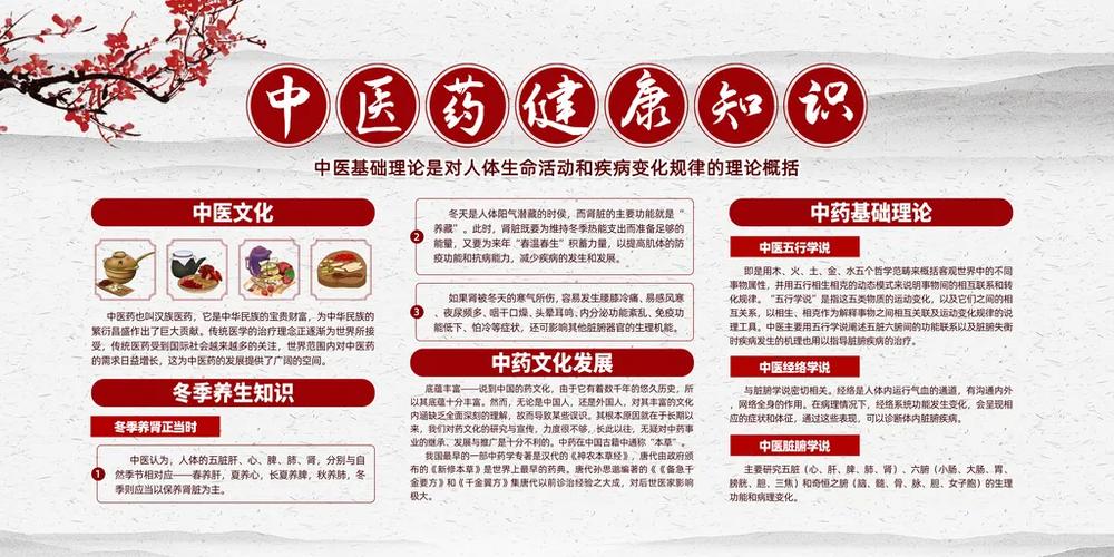 中医药健康管理计划