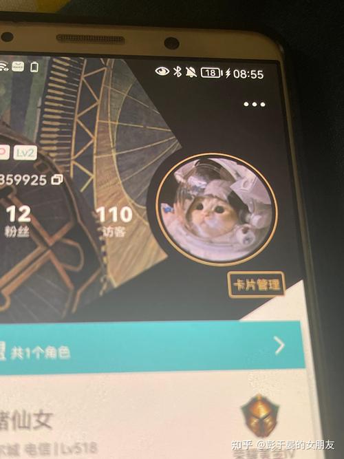 掌盟可以看到访客记录吗
