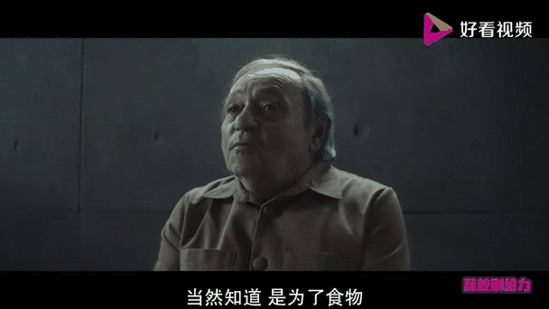 饥饿站台完整版免费看
