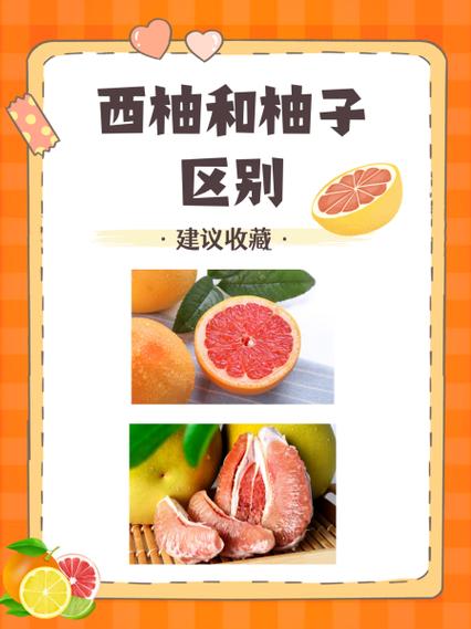 西柚和柚子是一样的吗