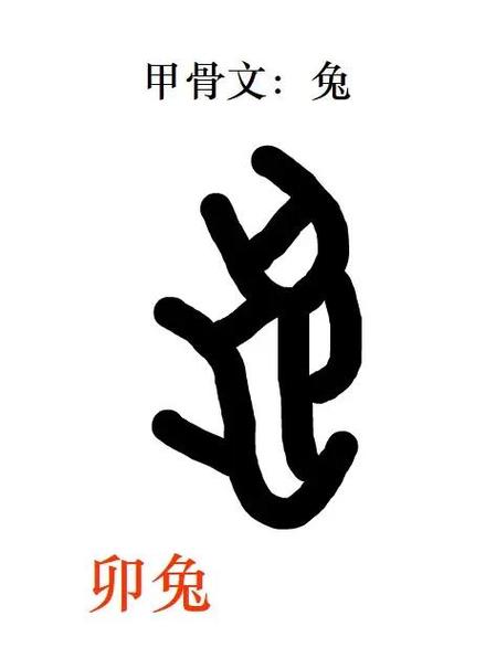 兽字解什么生肖