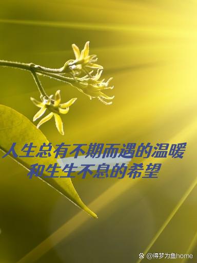 开启充满希望的人生视频