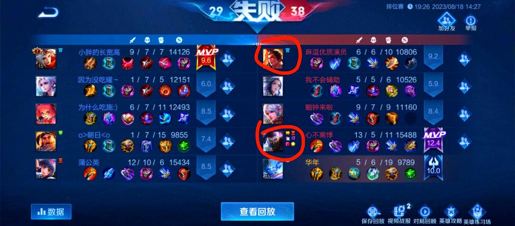 王者荣耀双排能不显示吗