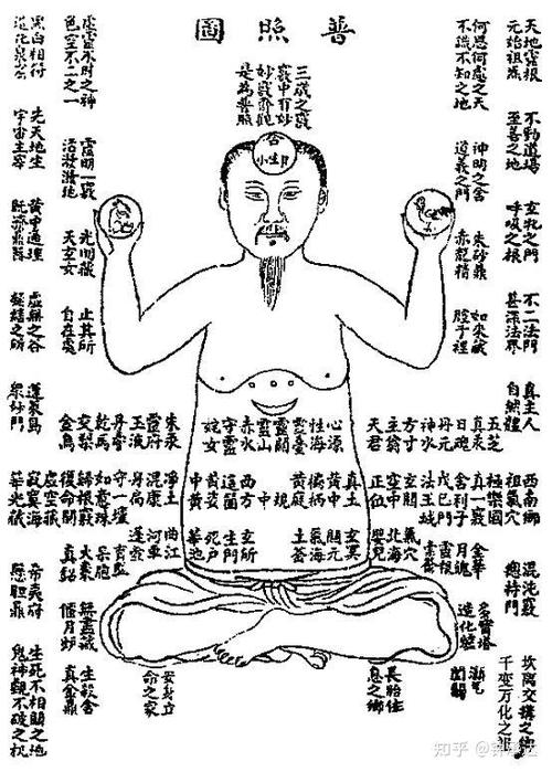 反观自照还是返观内照