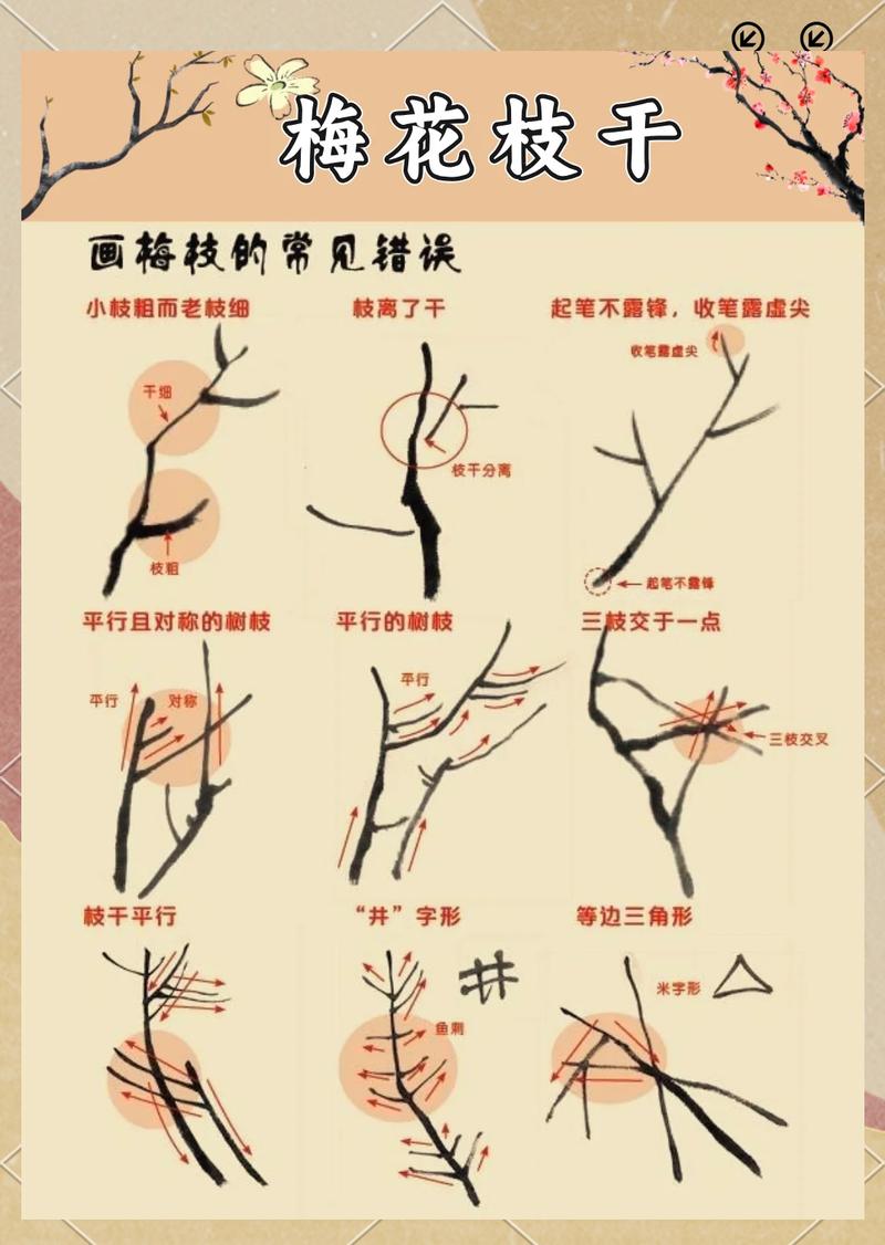 红梅修剪方法如下