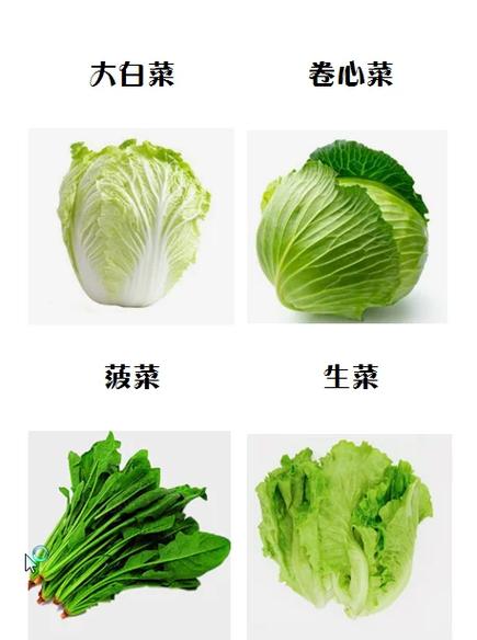 养颜菜和生菜有啥不同