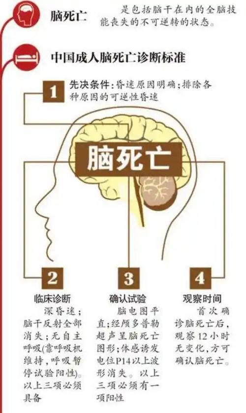 脑死亡有必要救吗