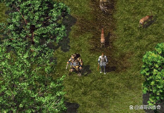 gameover兽人游戏