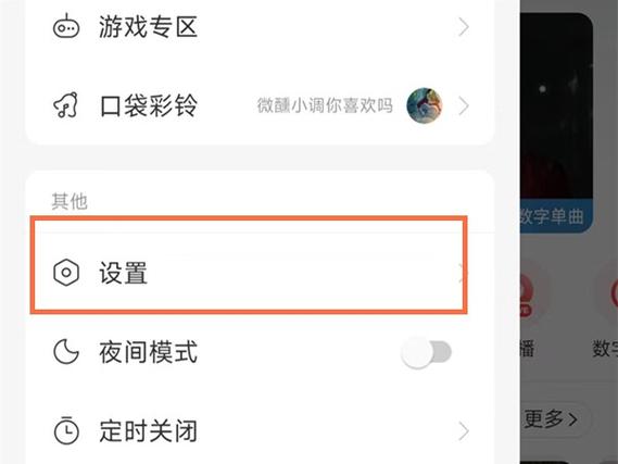 网易云怎么隐藏ip