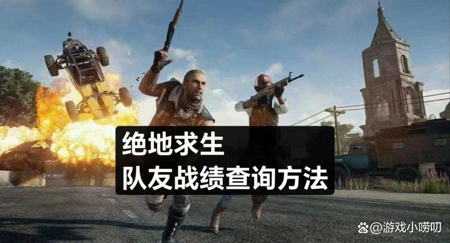 吃鸡隐藏战绩怎么查和哪些好友玩的