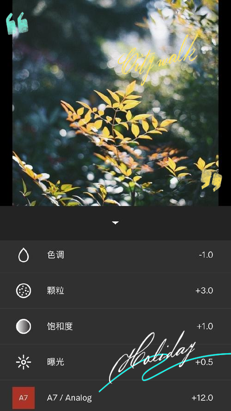 vsco人像滤镜