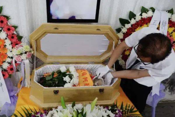 人死了七天回来吗