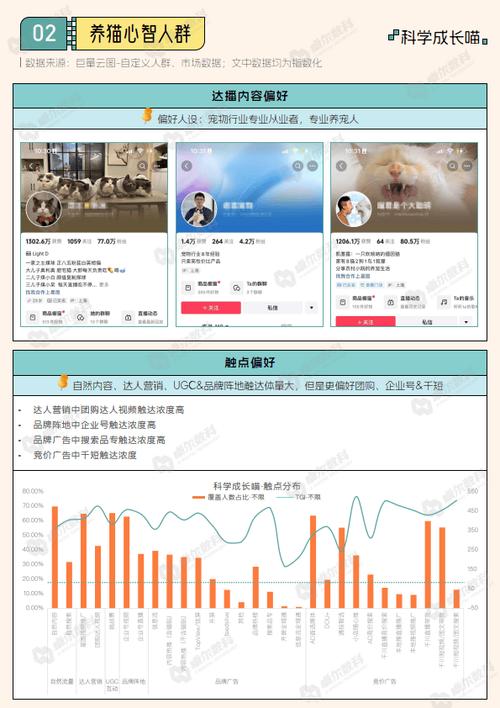 抖音分析