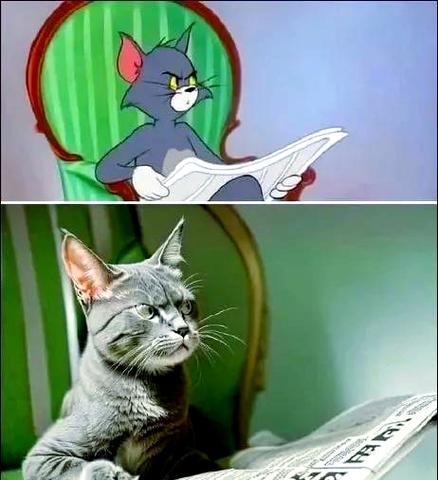 猫和老鼠网络暗语是什么