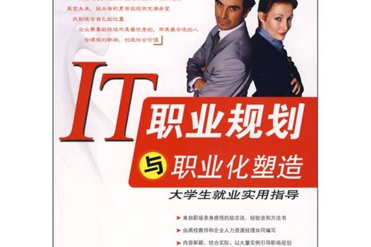 IT是什么职业