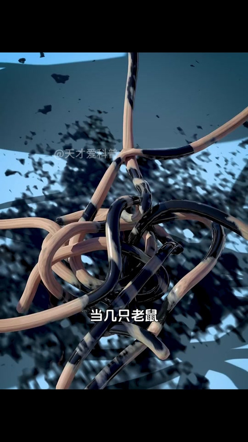 鼠王电影