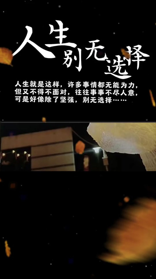 纵然生活不尽人意截图