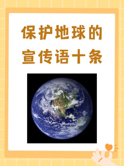 保护的中文