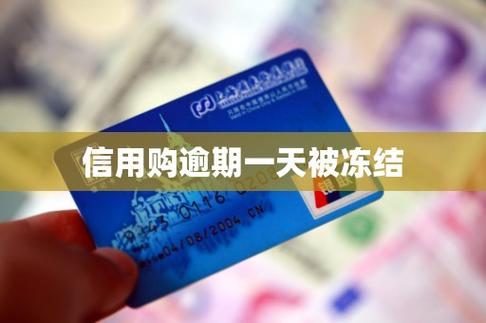 信用购冻结多久恢复正常